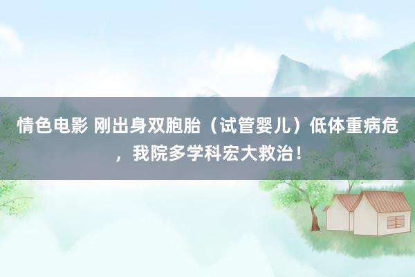 情色电影 刚出身双胞胎（试管婴儿）低体重病危，我院多学科宏大救治！