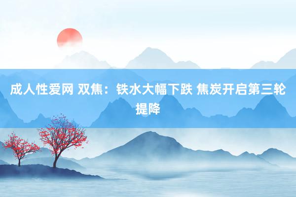 成人性爱网 双焦：铁水大幅下跌 焦炭开启第三轮提降