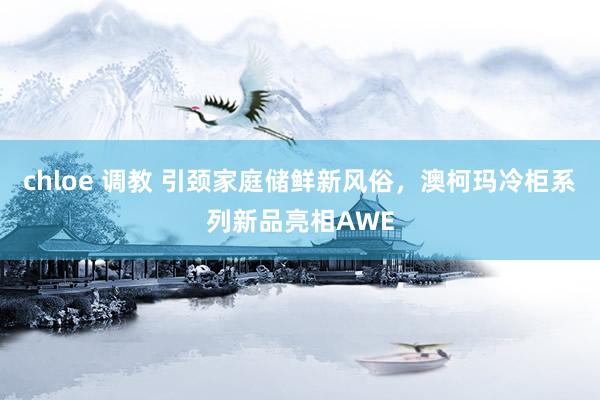 chloe 调教 引颈家庭储鲜新风俗，澳柯玛冷柜系列新品亮相AWE