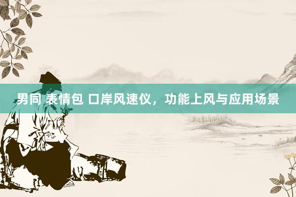男同 表情包 口岸风速仪，功能上风与应用场景