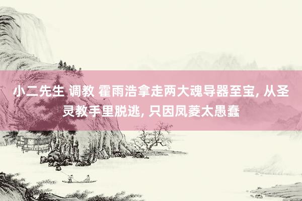 小二先生 调教 霍雨浩拿走两大魂导器至宝, 从圣灵教手里脱逃, 只因凤菱太愚蠢