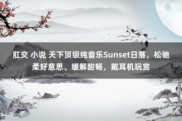 肛交 小说 天下顶级纯音乐Sunset日落，松驰柔好意思、缓解酣畅，戴耳机玩赏